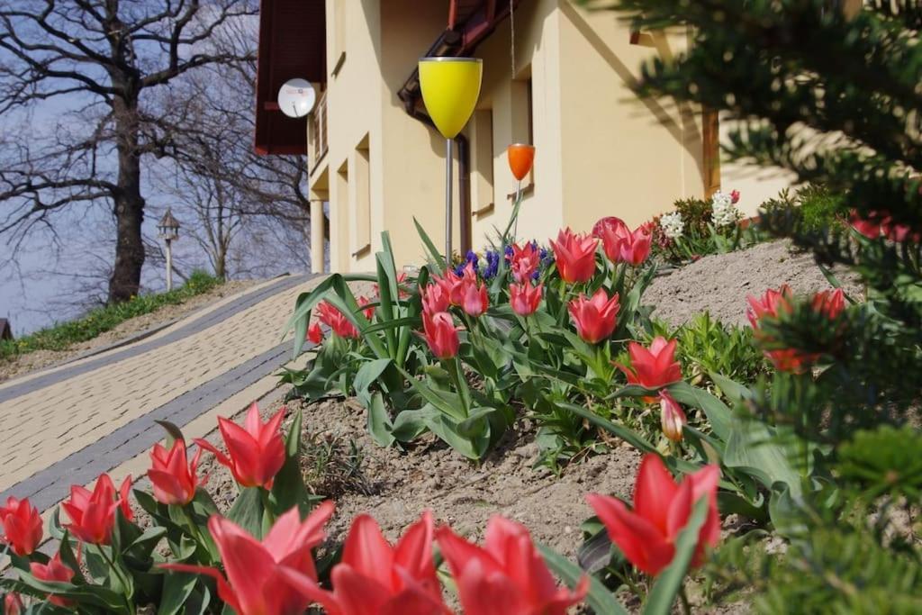 Apartament Zacisze Ustron Exterior foto